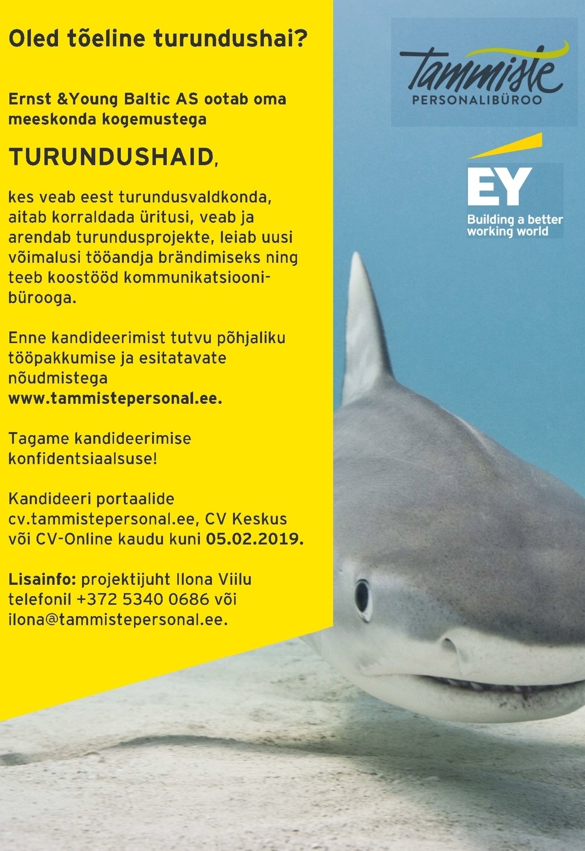 Ernst & Young Baltic AS TURUNDUSHAI tugiteenuste meeskonda