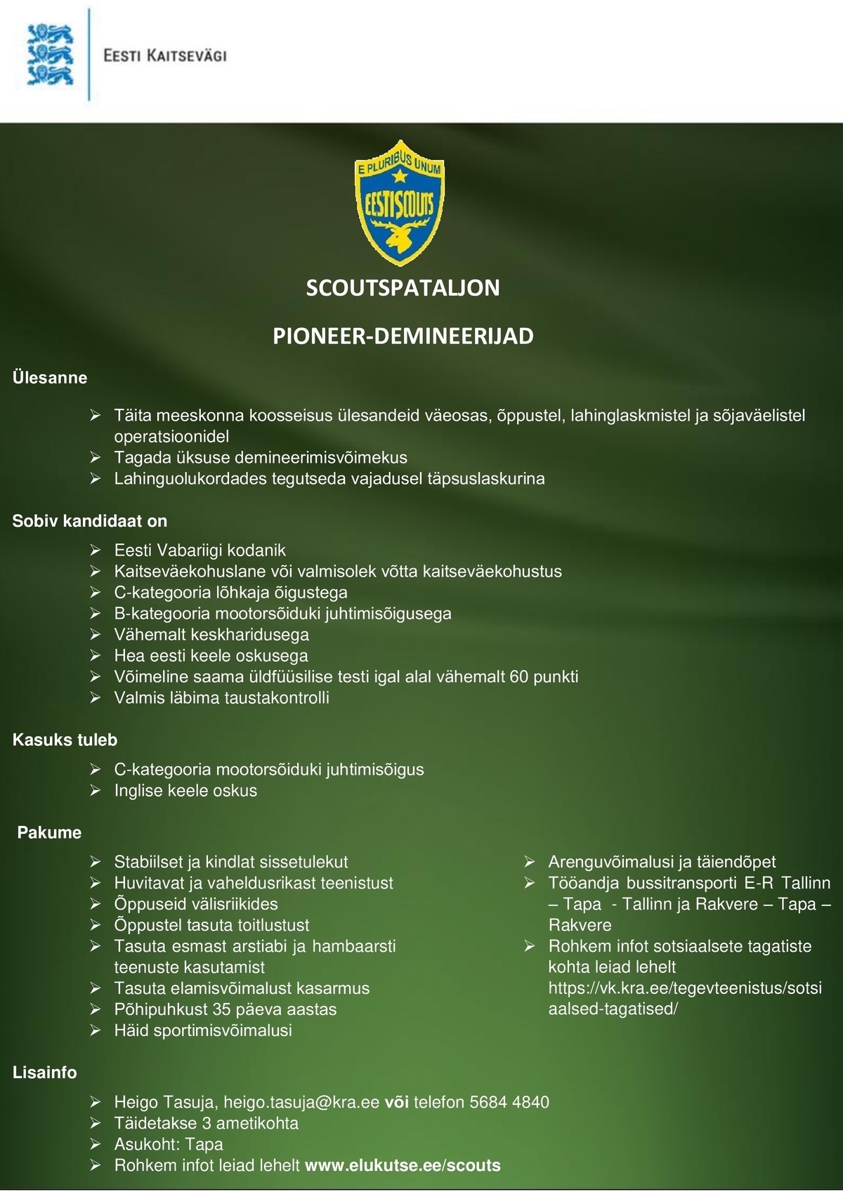 Scoutspataljon Pioneer-demineerija