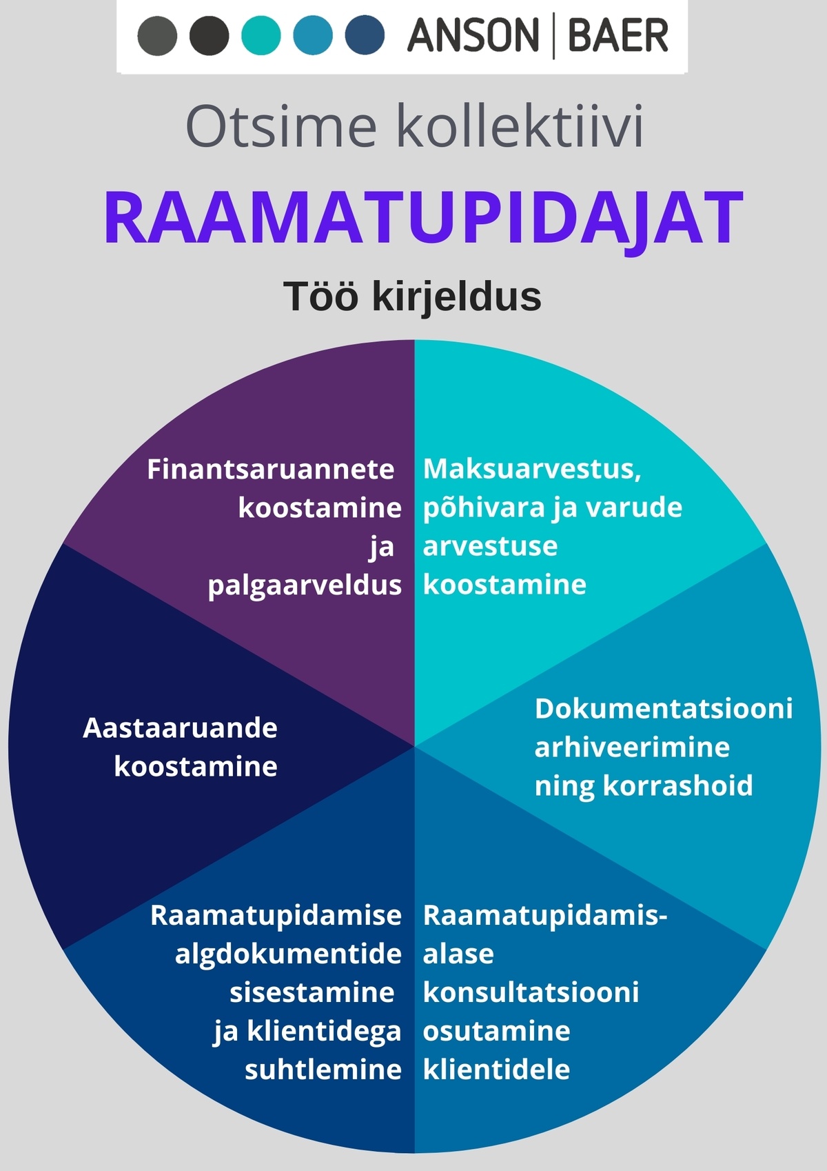 AnsonBaer Nordic OÜ Raamatupidaja