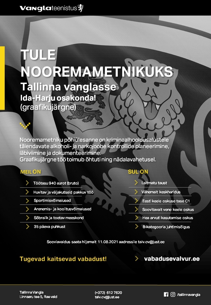 Tallinna Vangla Ida-Harju kriminaalhooldusosakonna nooremametnik (graafikujärgne töö)