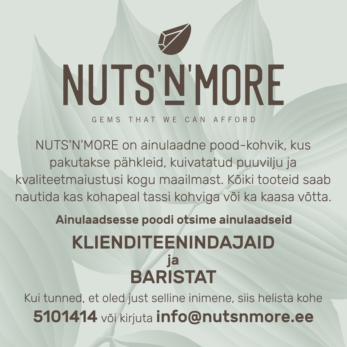 NUTS'N'MORE (Nutsnmore OÜ) Klienditeenindaja / barista