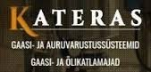 Projektijuht