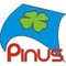 Job ads in Pinus AS